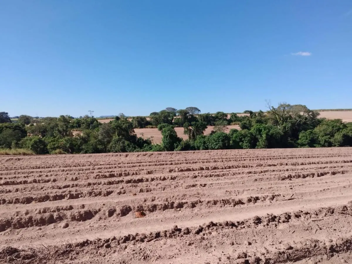 Sítio à venda de 23 ha em Cajuru, SP, Brasil