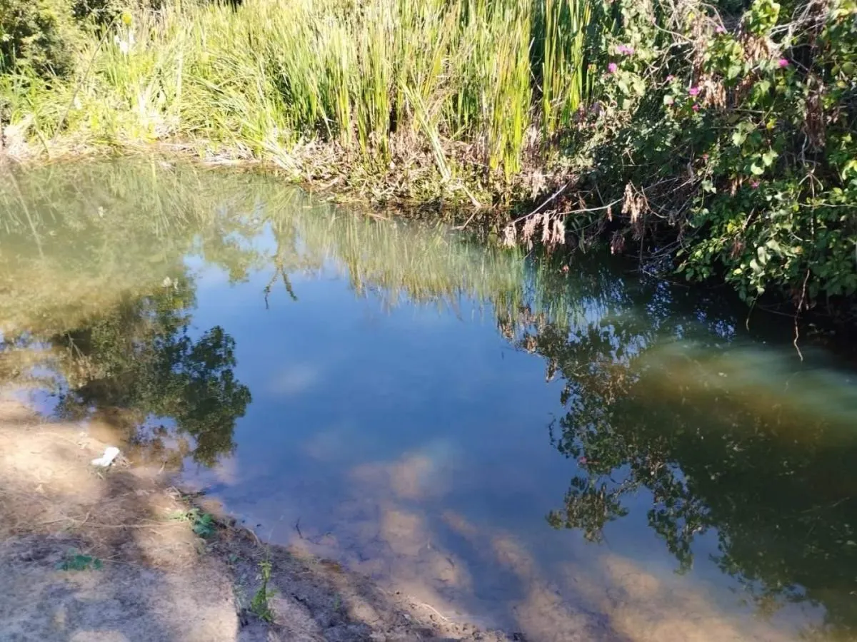 Sítio à venda de 23 ha em Cajuru, SP, Brasil