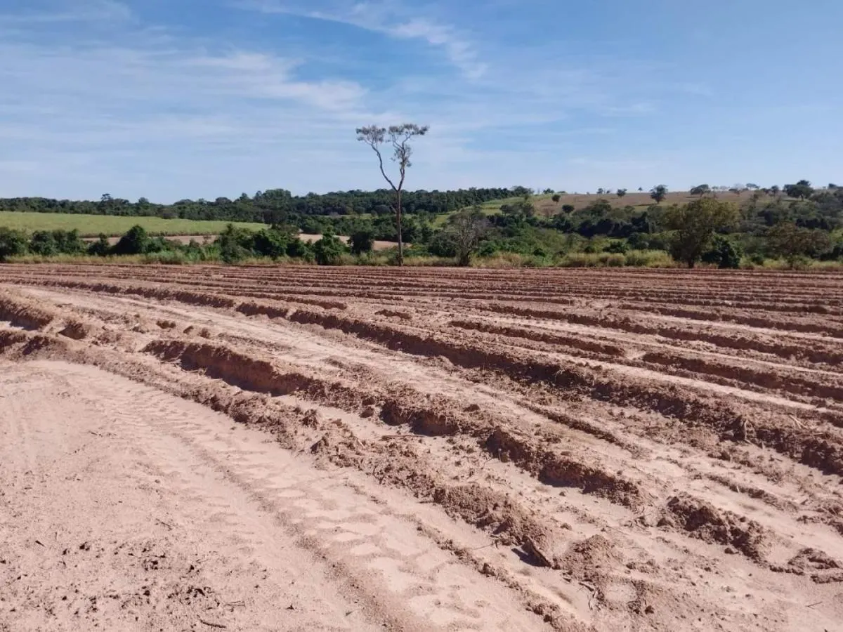 Sítio à venda de 23 ha em Cajuru, SP, Brasil