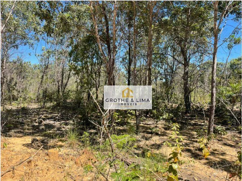 Fazenda à venda de 566 ha em Recursolândia, TO, Brasil