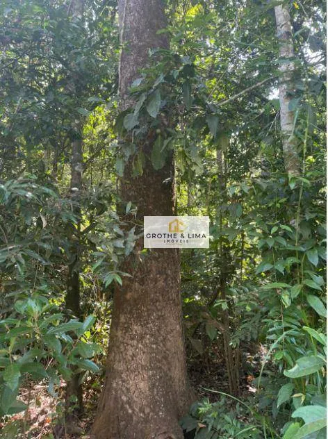 Fazenda à venda de 566 ha em Recursolândia, TO, Brasil