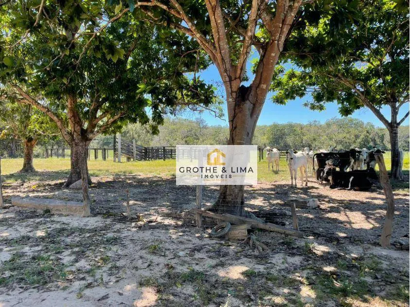 Fazenda à venda de 566 ha em Recursolândia, TO, Brasil