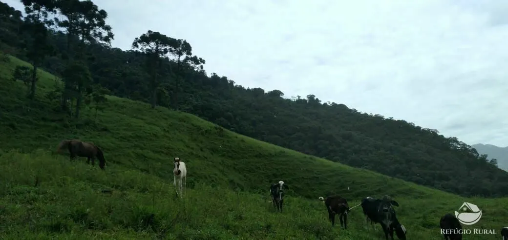 Plot for sale of 17 acres in São José dos Campos, SP, Brazil