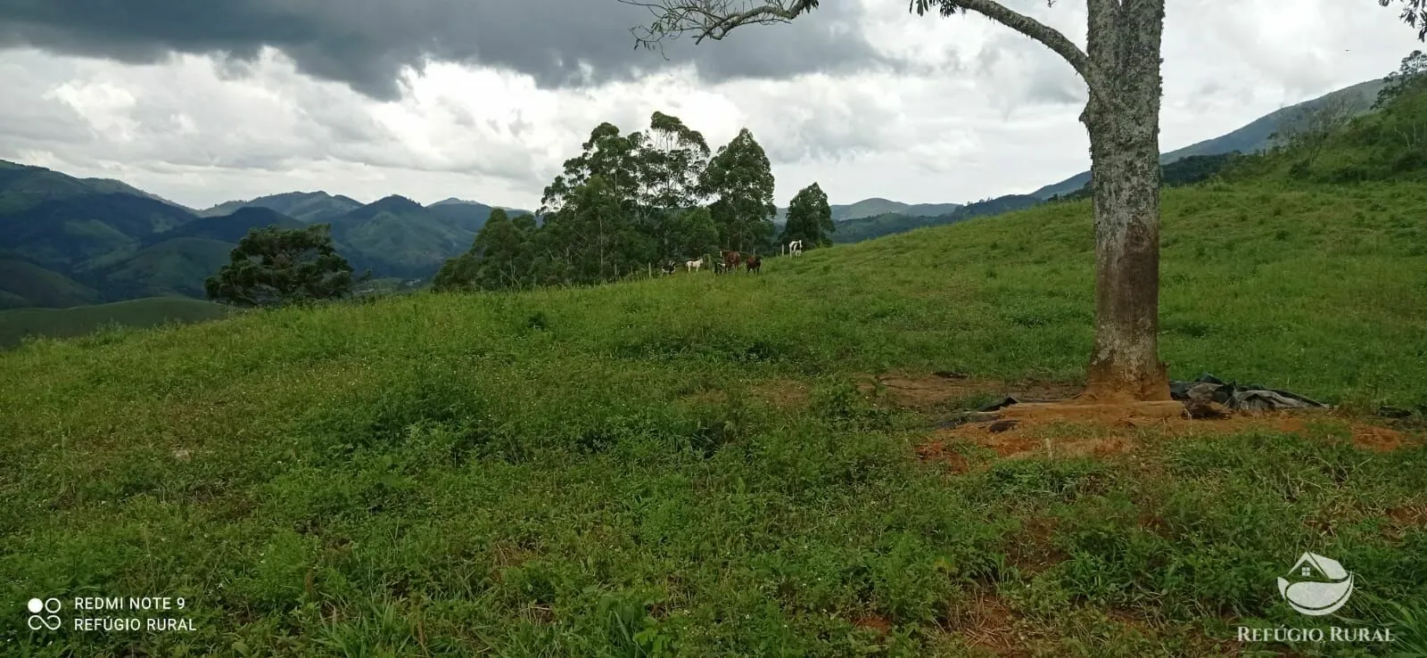 Plot for sale of 17 acres in São José dos Campos, SP, Brazil