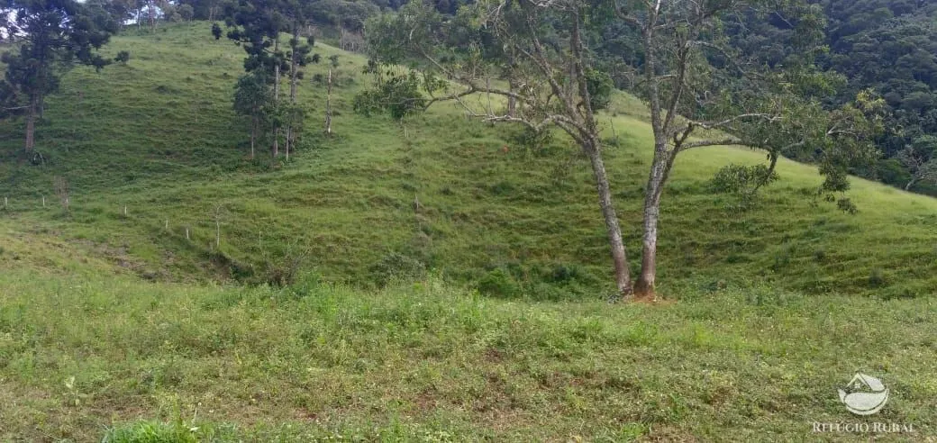 Plot for sale of 17 acres in São José dos Campos, SP, Brazil