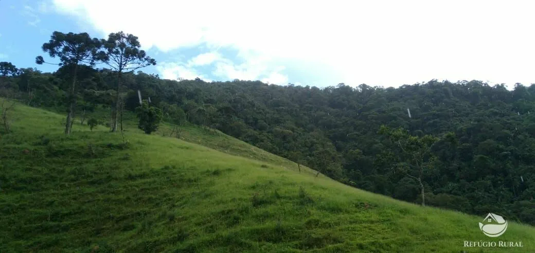 Plot for sale of 17 acres in São José dos Campos, SP, Brazil