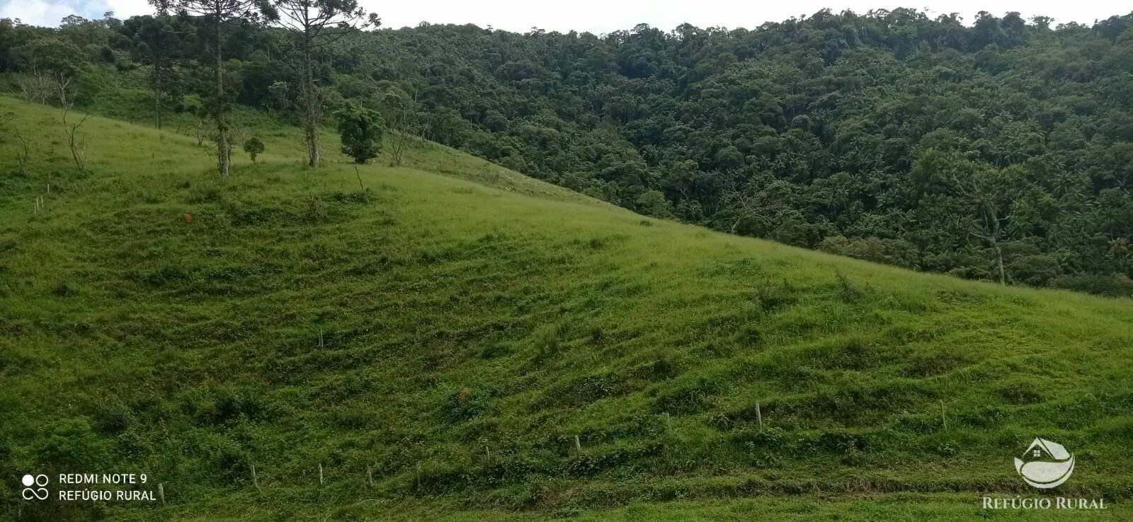 Plot for sale of 17 acres in São José dos Campos, SP, Brazil
