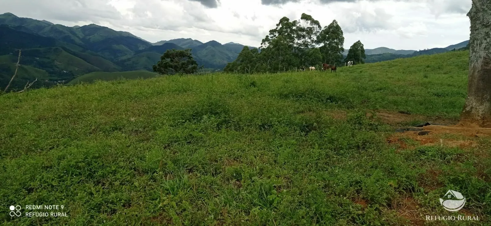 Plot for sale of 17 acres in São José dos Campos, SP, Brazil