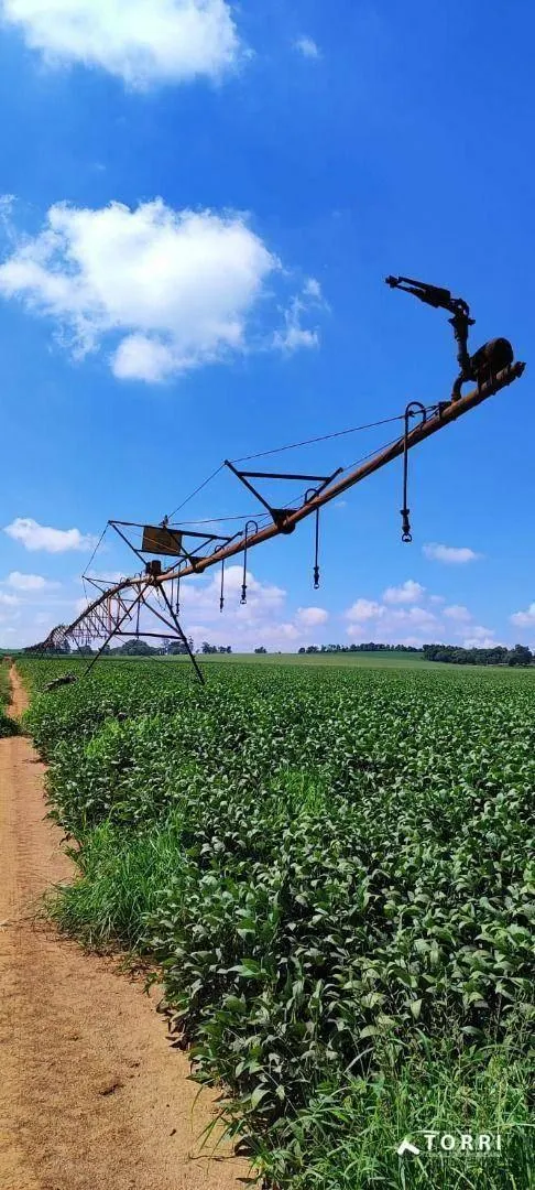 Fazenda à venda de 496 ha em Paranapanema, SP, Brasil