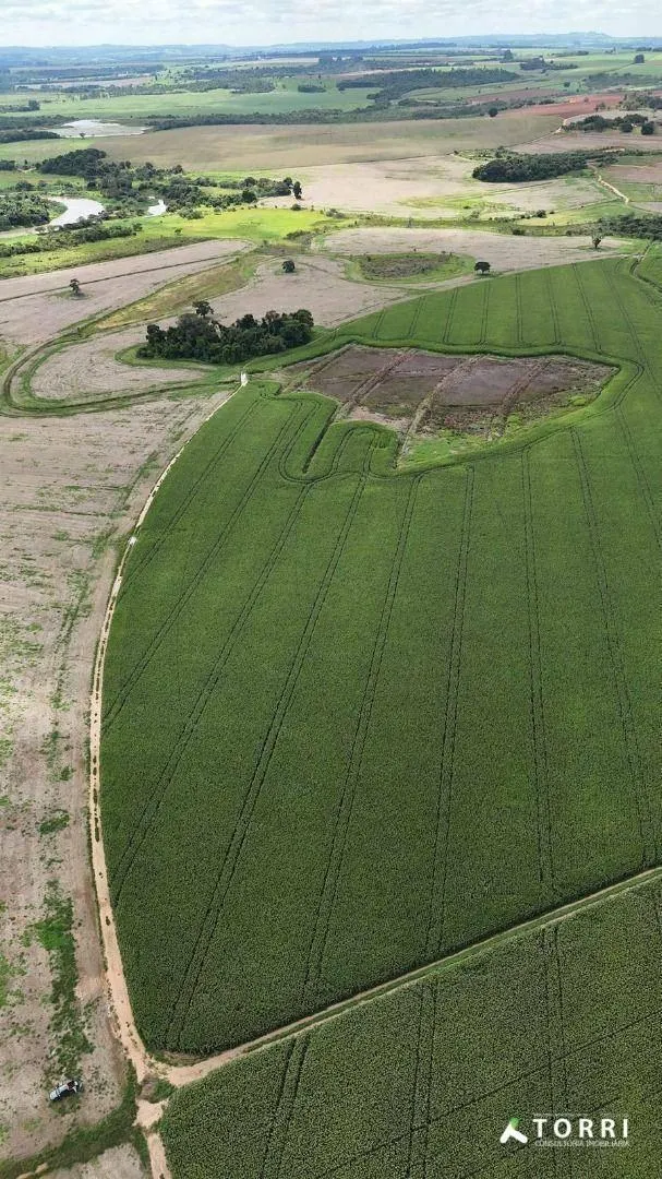 Fazenda à venda de 496 ha em Paranapanema, SP, Brasil