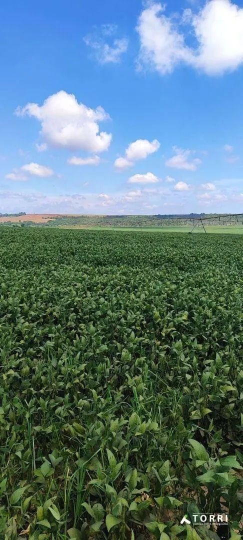 Fazenda à venda de 496 ha em Paranapanema, SP, Brasil