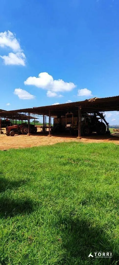 Fazenda à venda de 496 ha em Paranapanema, SP, Brasil