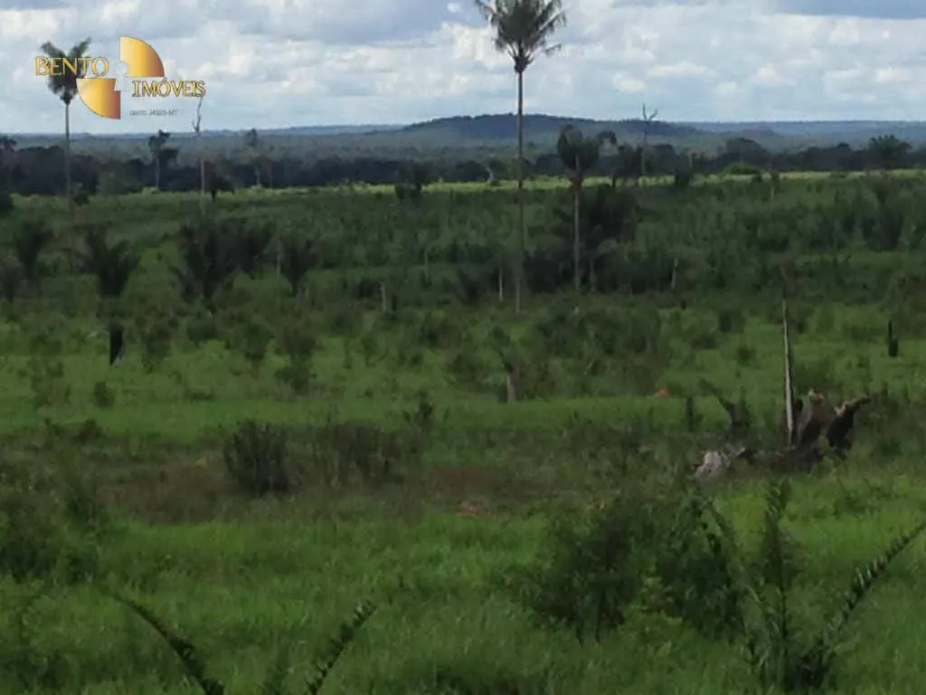 Farm for sale of 16,099 acres in Sinop, MT, Brazil