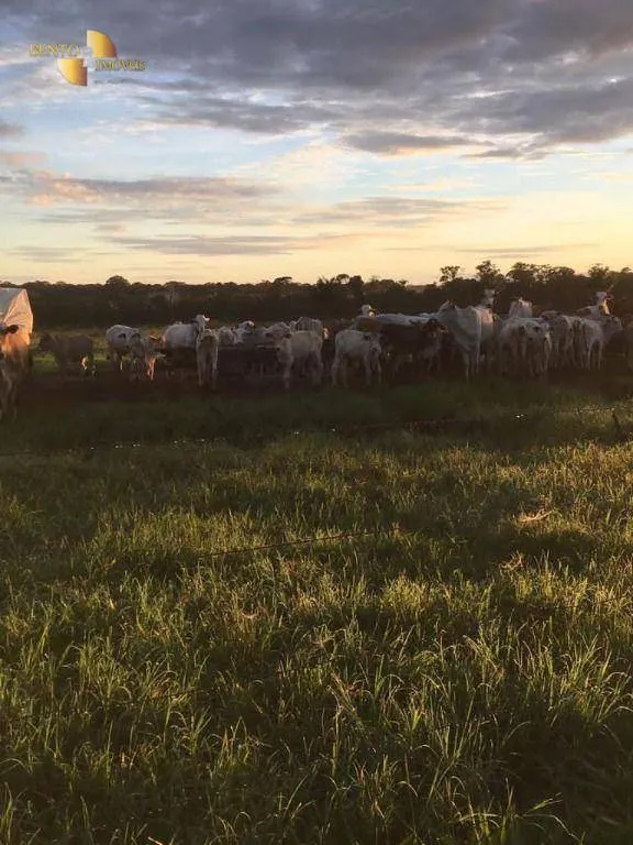Fazenda à venda de 6.515 ha em Sinop, MT, Brasil