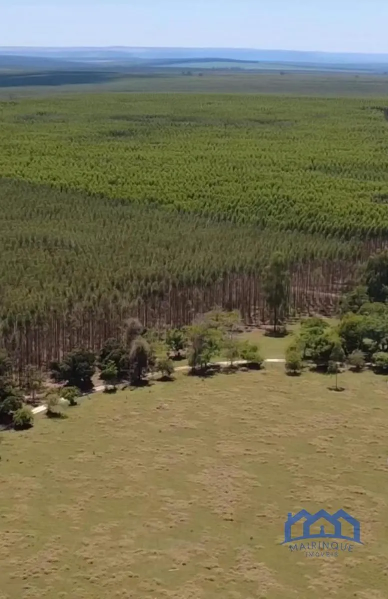 Fazenda à venda de 358 ha em Paranapanema, SP, Brasil
