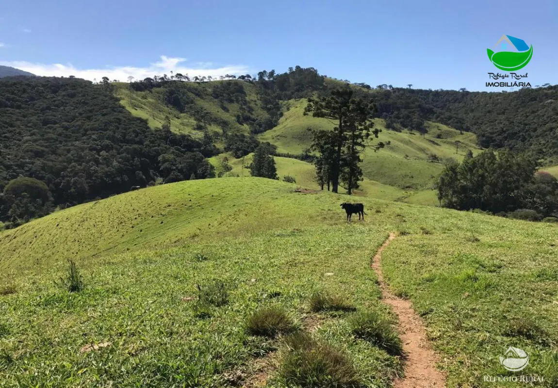 Sítio à venda de 16 ha em Sapucaí-Mirim, MG, Brasil