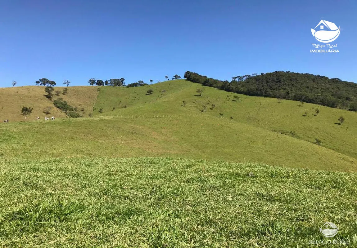 Sítio à venda de 16 ha em Sapucaí-Mirim, MG, Brasil