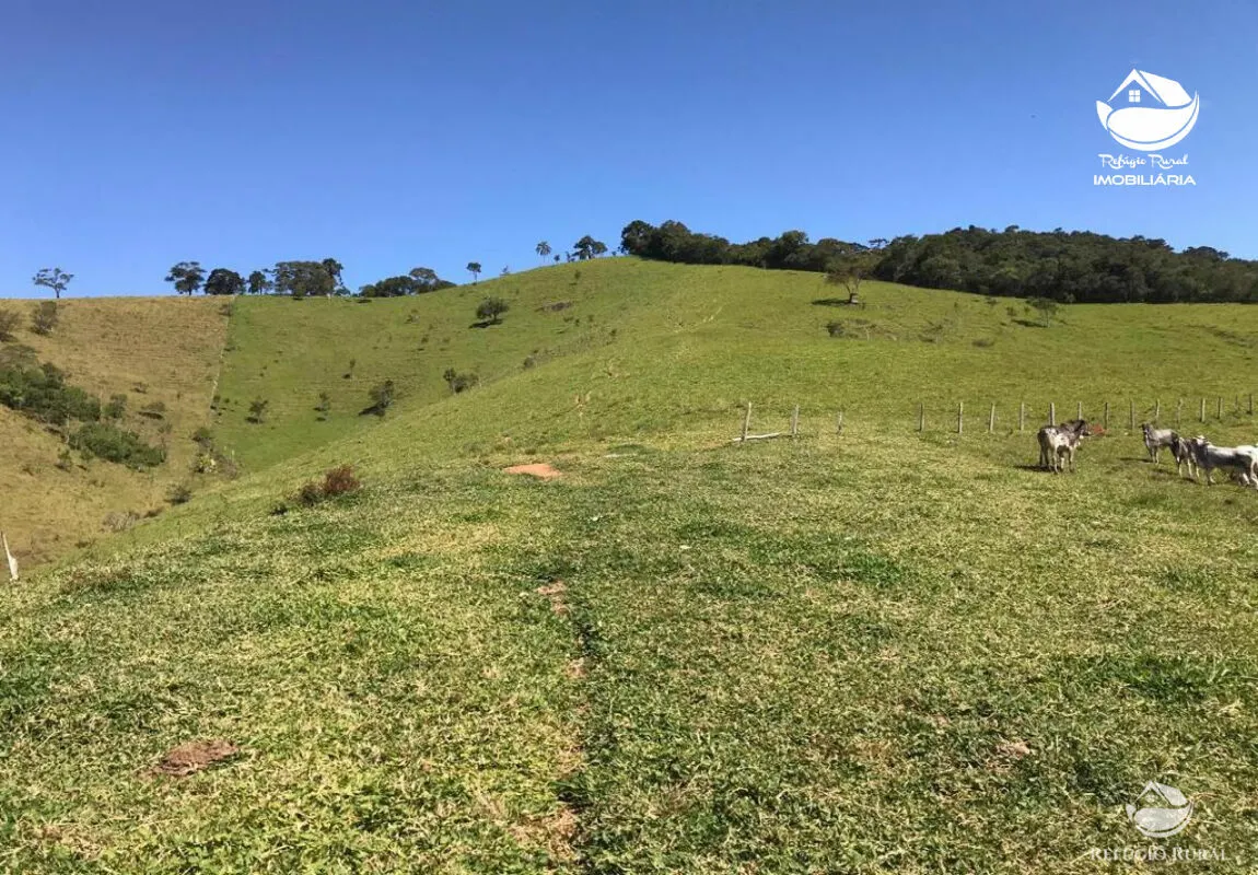 Sítio à venda de 16 ha em Sapucaí-Mirim, MG, Brasil