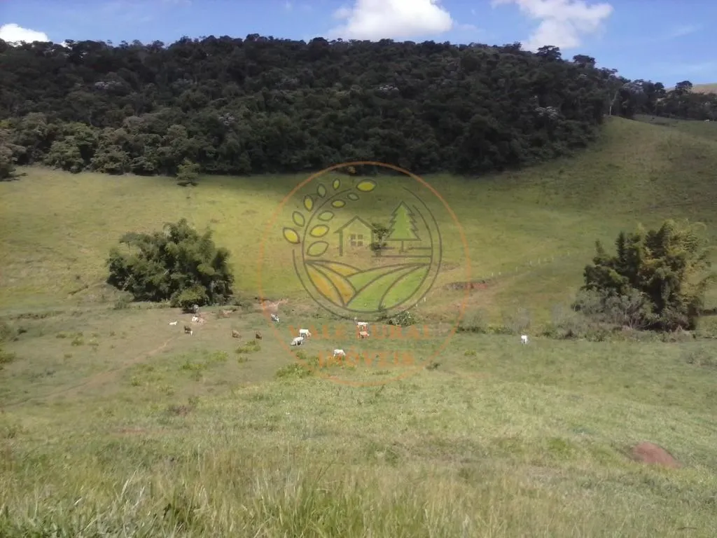 Fazenda à venda de 50 ha em Taubaté, SP, Brasil
