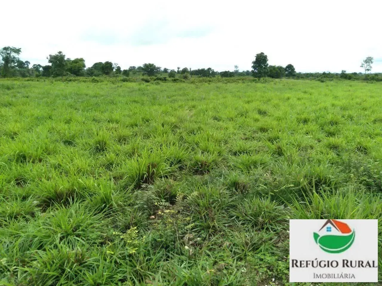 Fazenda à venda de 2.197 ha em Juarina, TO, Brasil