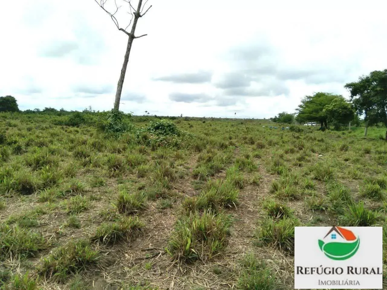 Fazenda à venda de 2.197 ha em Juarina, TO, Brasil