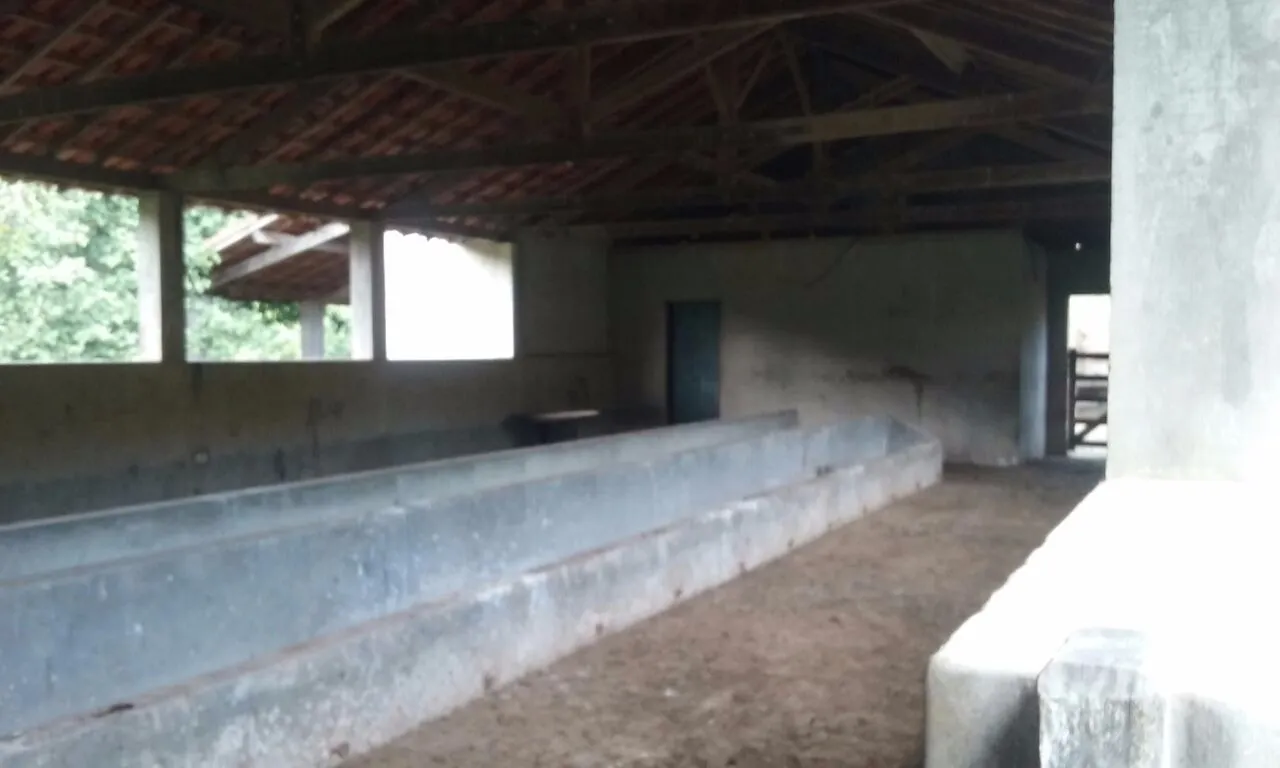 Small farm for sale of 150 acres in Cunha, SP, Brazil