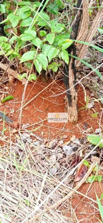 Fazenda à venda de 15.471 ha em Araguacema, TO, Brasil