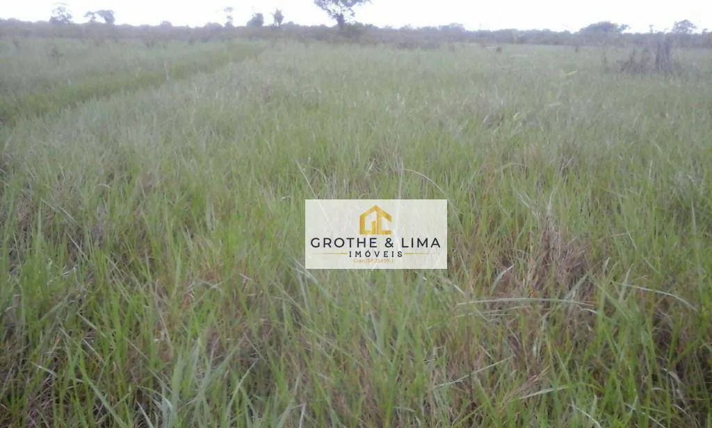 Fazenda à venda de 15.471 ha em Araguacema, TO, Brasil