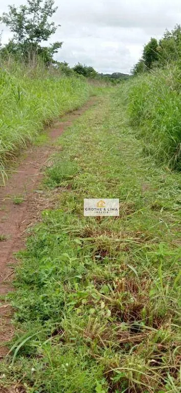 Fazenda à venda de 15.471 ha em Araguacema, TO, Brasil