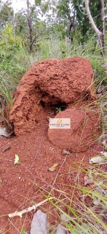 Fazenda à venda de 15.471 ha em Araguacema, TO, Brasil
