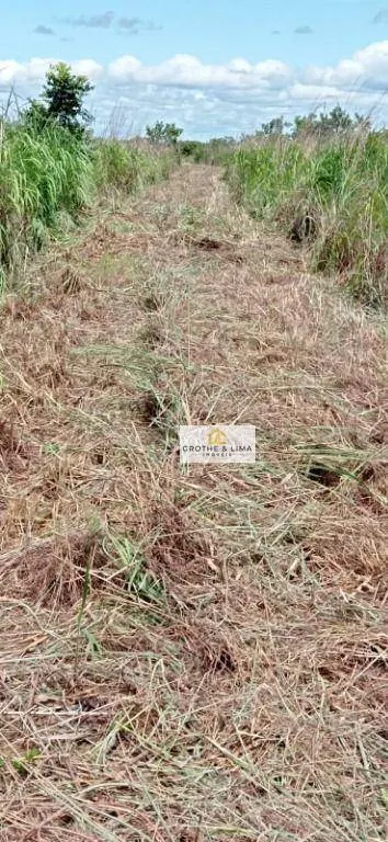 Fazenda à venda de 15.471 ha em Araguacema, TO, Brasil
