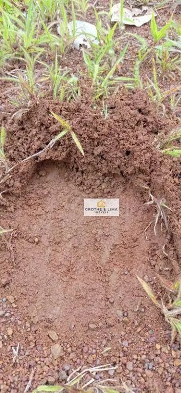 Fazenda à venda de 15.471 ha em Araguacema, TO, Brasil