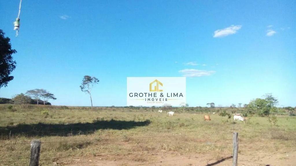 Fazenda à venda de 15.471 ha em Araguacema, TO, Brasil