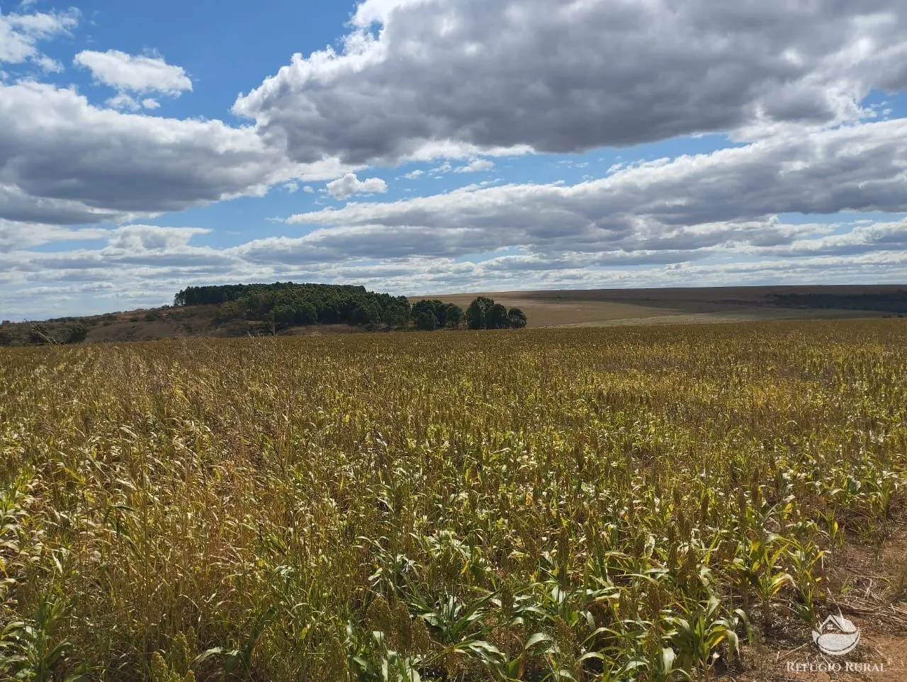 Fazenda à venda de 1.600 ha em Água Fria de Goiás, GO, Brasil