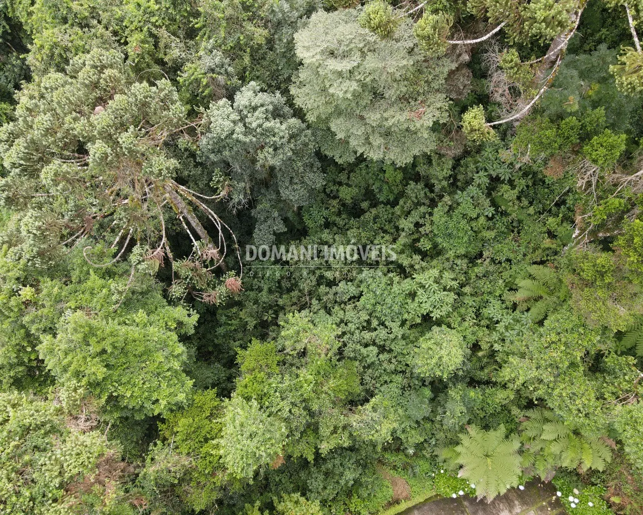 Terreno à venda de 1.010 m² em Campos do Jordão, SP, Brasil