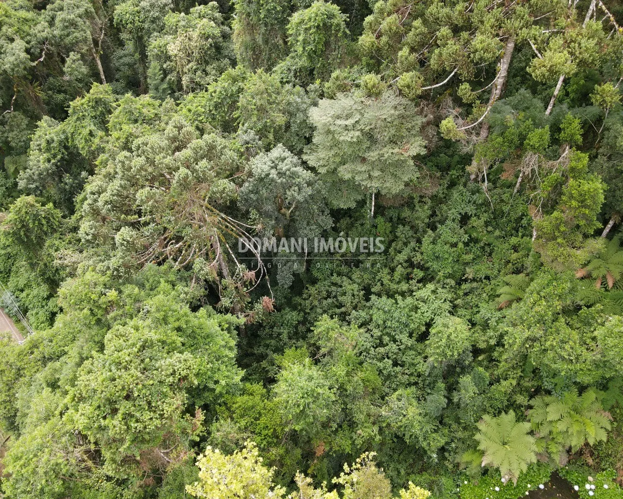 Terreno à venda de 1.010 m² em Campos do Jordão, SP, Brasil