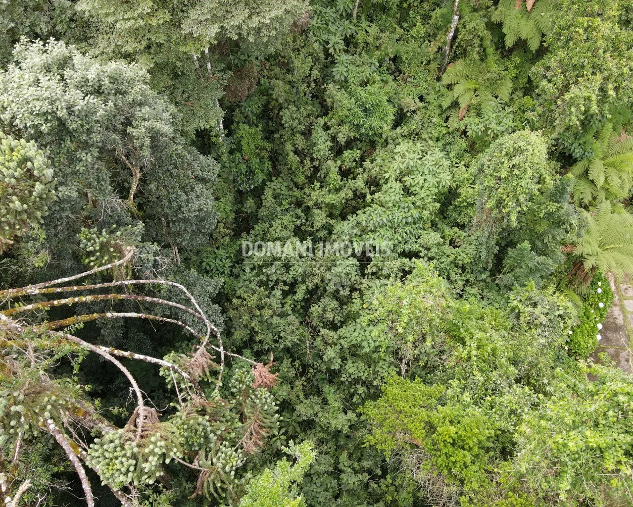 Terreno à venda de 1.010 m² em Campos do Jordão, SP, Brasil