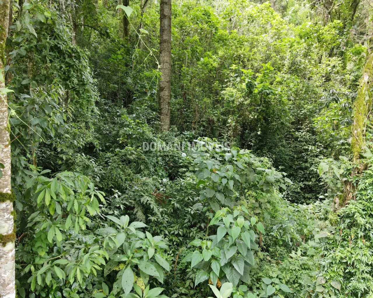 Terreno à venda de 1.010 m² em Campos do Jordão, SP, Brasil