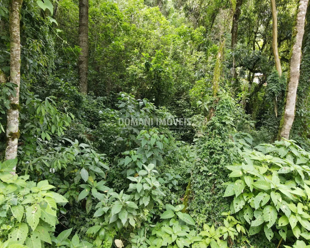 Terreno à venda de 1.010 m² em Campos do Jordão, SP, Brasil