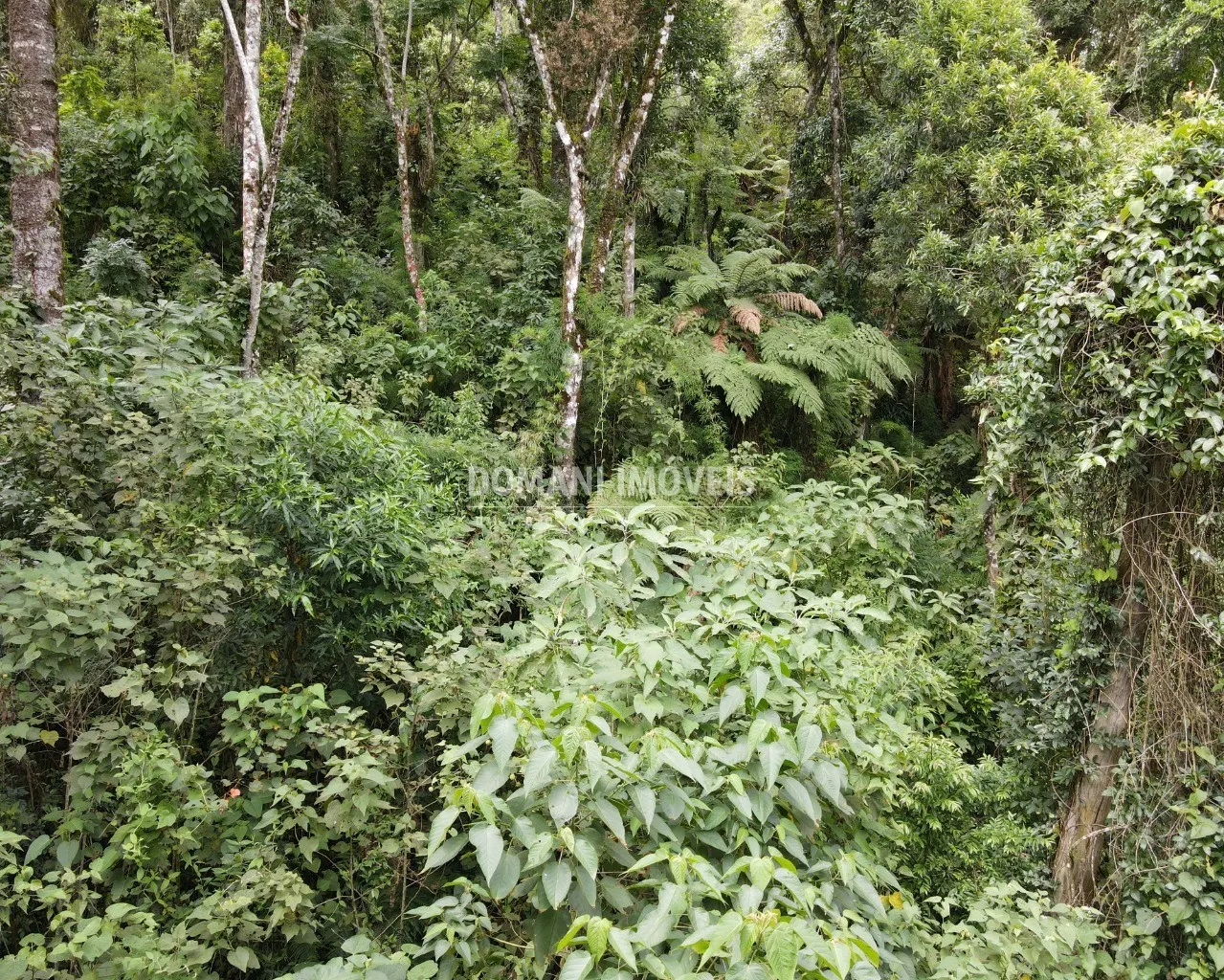 Terreno à venda de 1.010 m² em Campos do Jordão, SP, Brasil