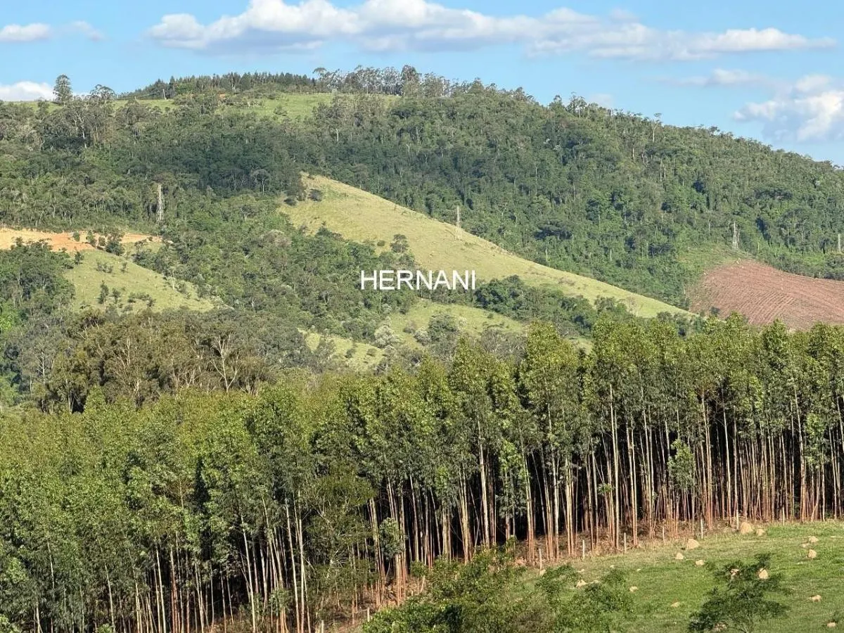 Small farm for sale of 26 acres in Itu, SP, Brazil