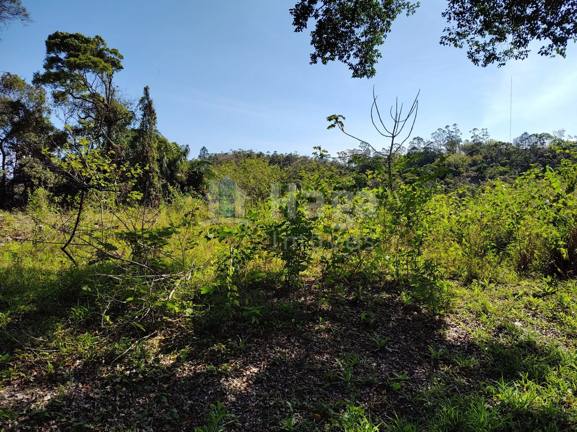 Terreno à venda de 1 ha em Brusque, SC, Brasil