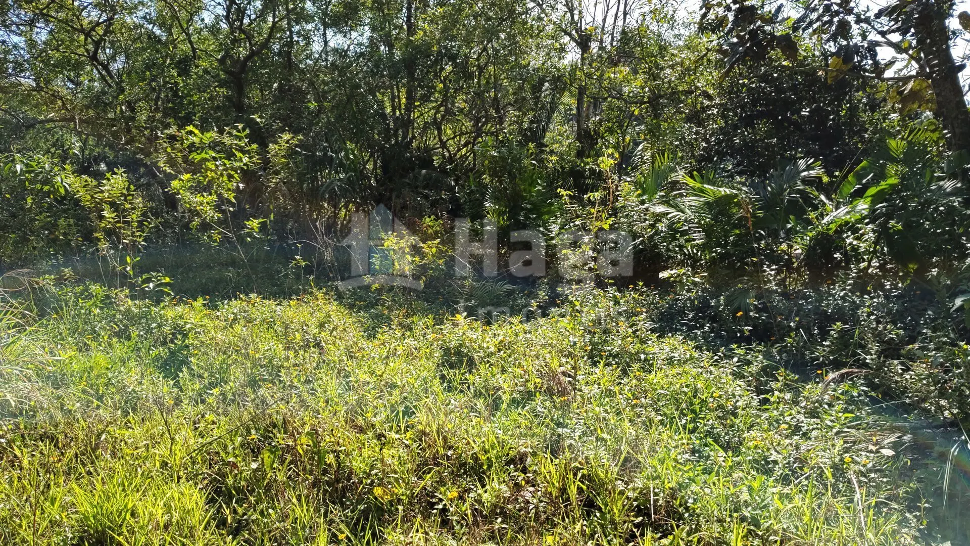 Terreno à venda de 1 ha em Brusque, SC, Brasil