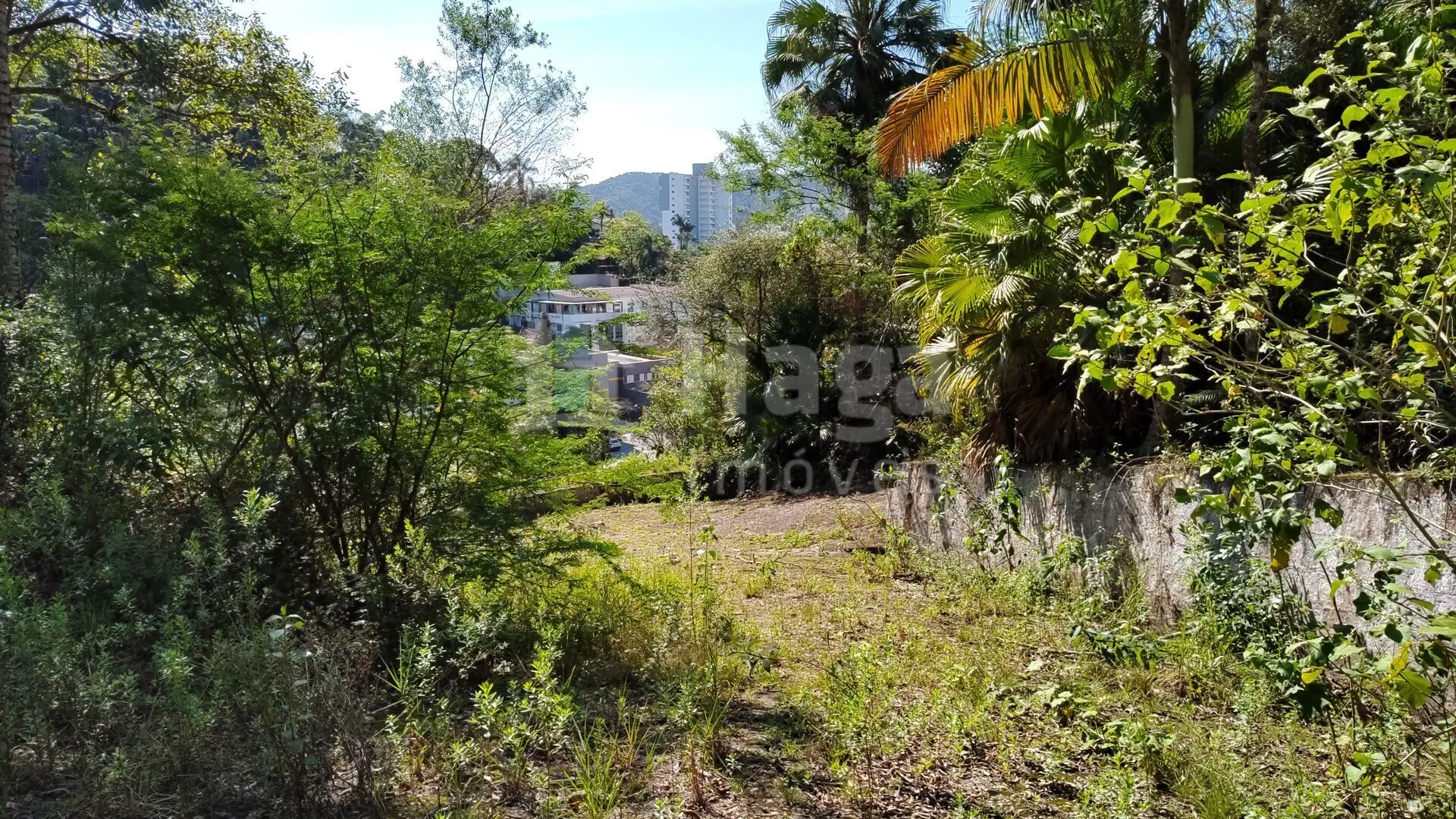 Terreno à venda de 1 ha em Brusque, SC, Brasil