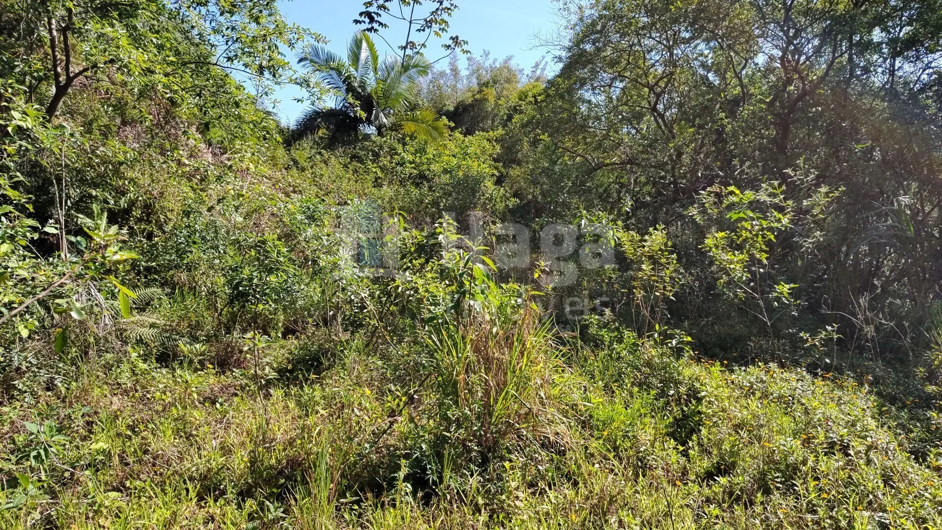 Terreno à venda de 1 ha em Brusque, SC, Brasil