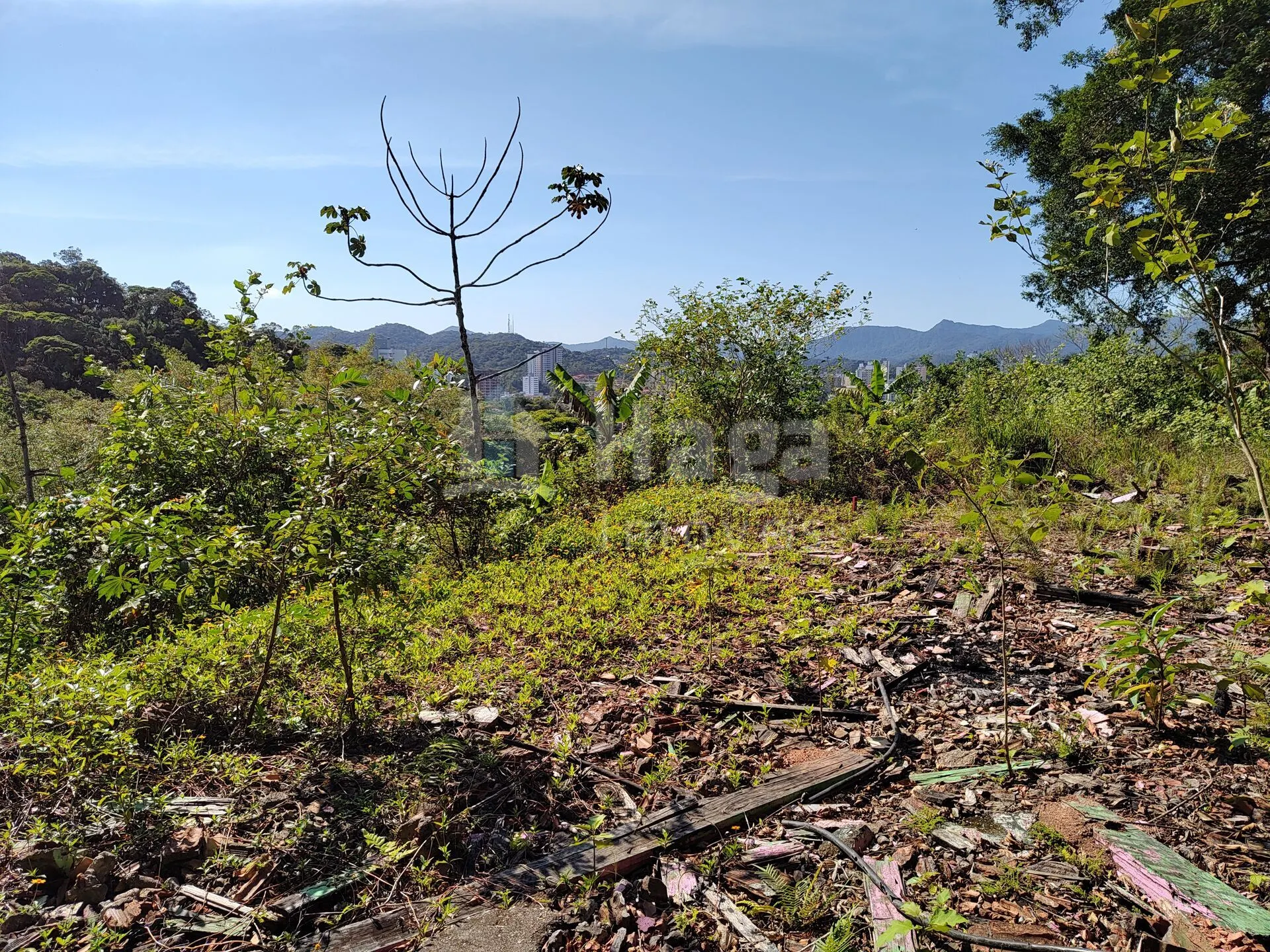 Terreno à venda de 1 ha em Brusque, SC, Brasil