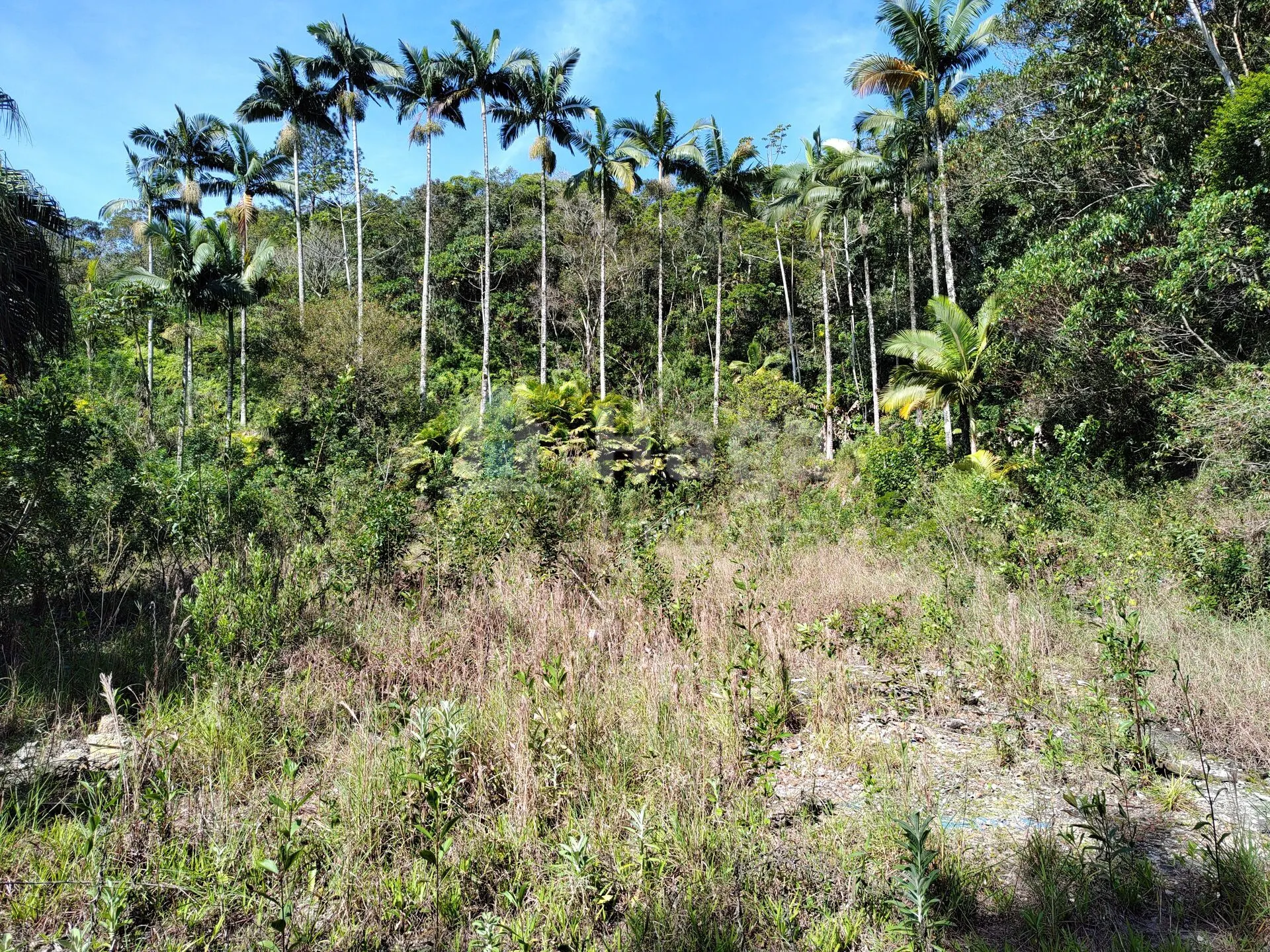 Terreno à venda de 1 ha em Brusque, SC, Brasil