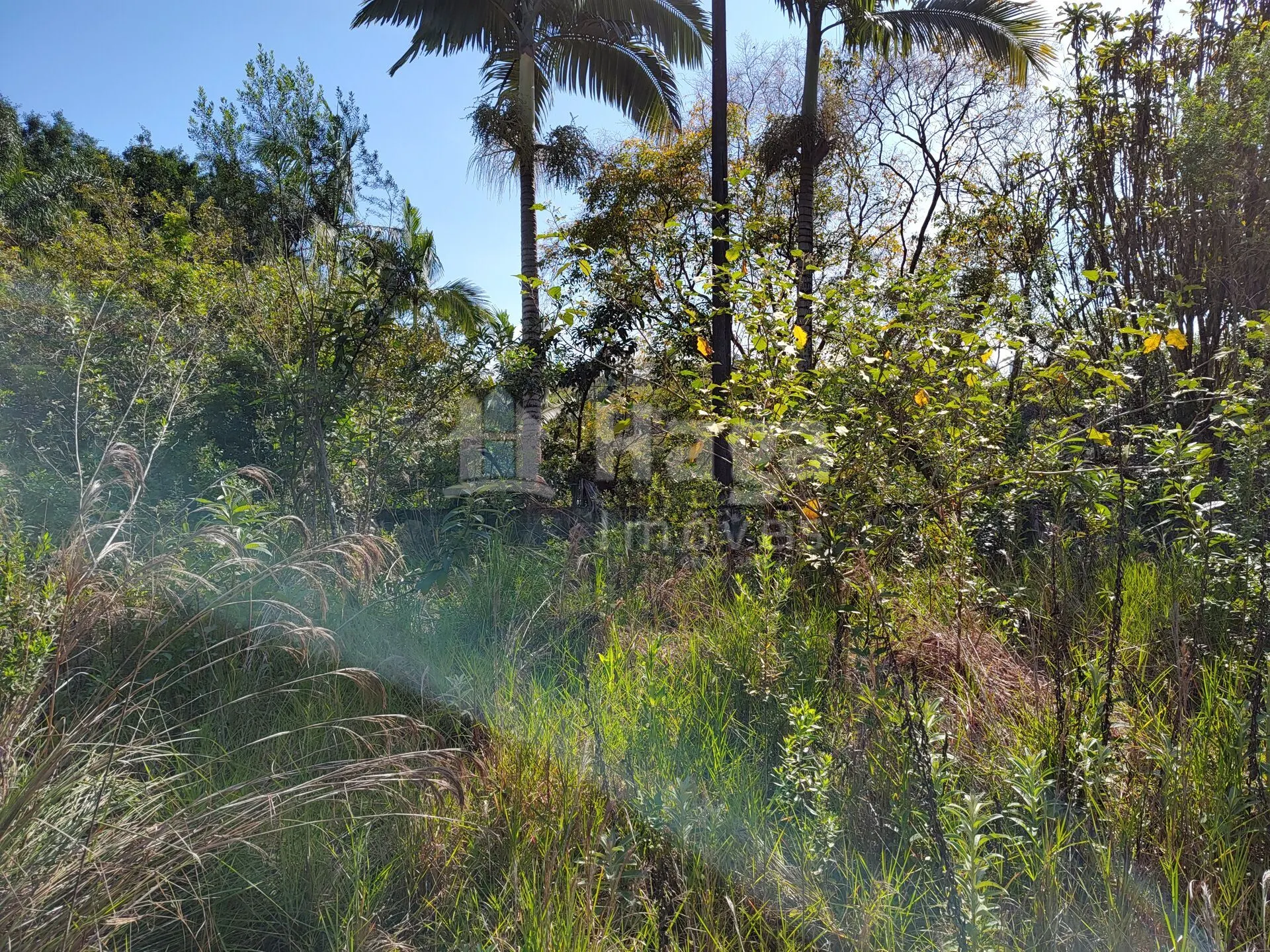 Terreno à venda de 1 ha em Brusque, SC, Brasil