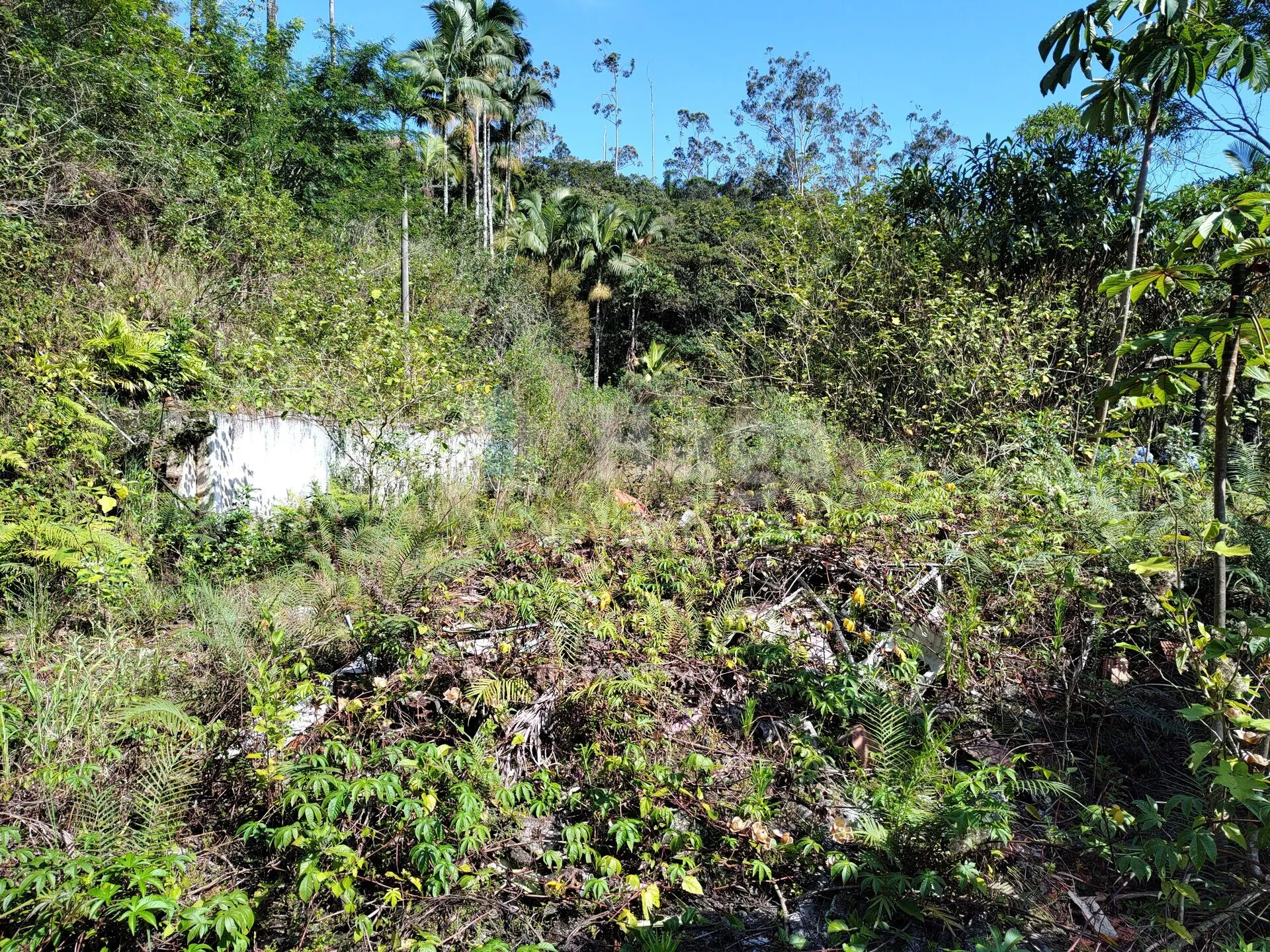 Terreno à venda de 1 ha em Brusque, SC, Brasil