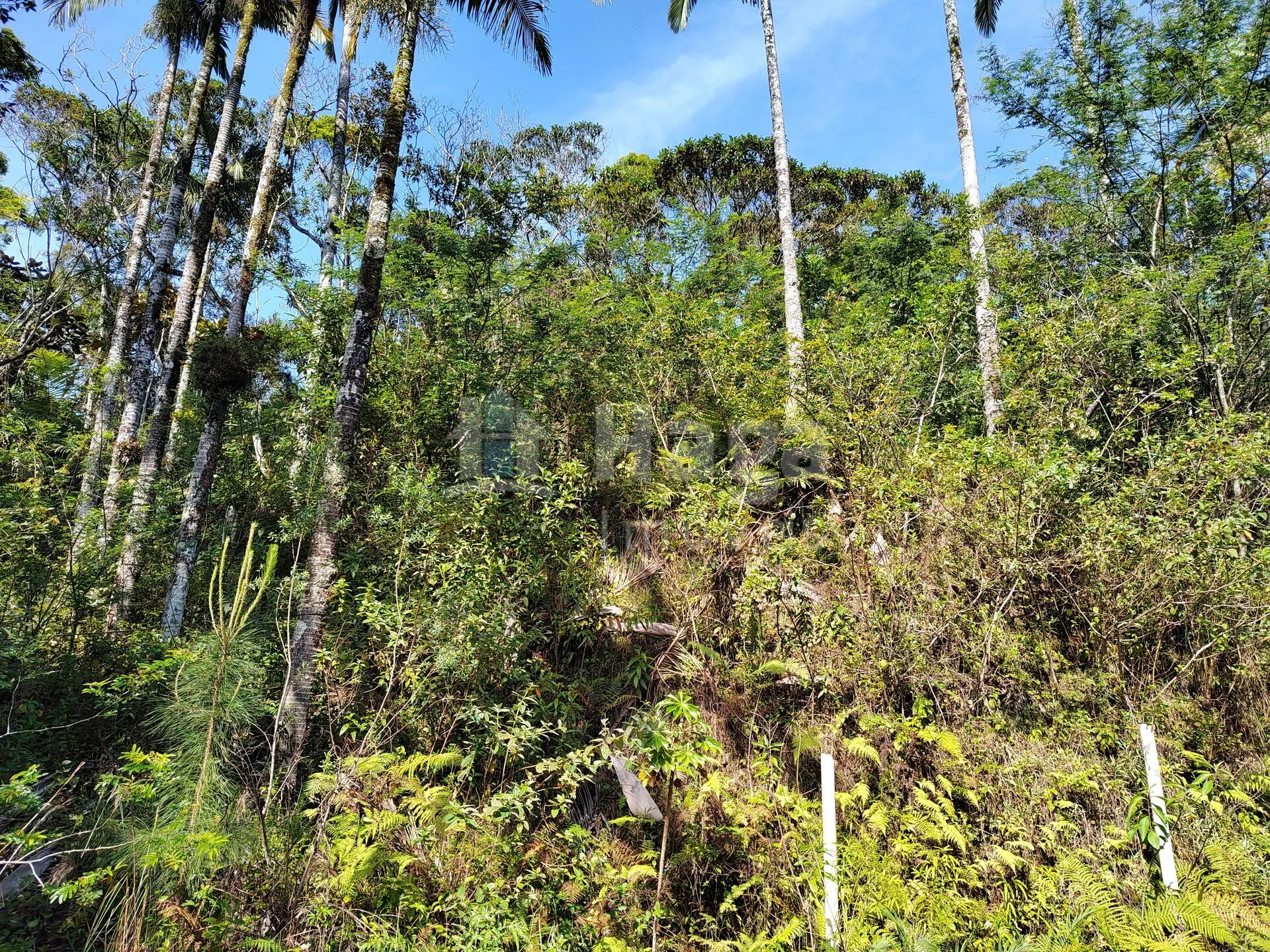 Terreno à venda de 1 ha em Brusque, SC, Brasil